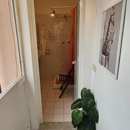 Petringa